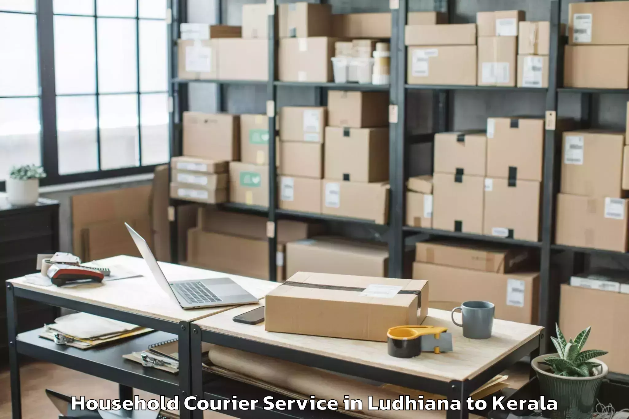 Quality Ludhiana to Azhikkal Household Courier